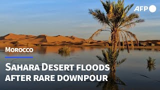 Rare Sahara floods bring Moroccos driedup south back to life  AFP [upl. by Skinner963]