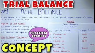 Trial Balance  Concept amp Problem  Class 11  BCOM  CA Foundation [upl. by Eremihc960]