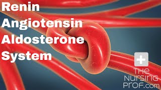 The Renin Angiotensin Aldosterone System [upl. by Milah649]