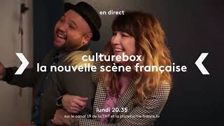 Une chaîne éphémère dédiée à la culture  Culturebox sur le canal 19 et sur francetv [upl. by Lecram554]