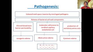 Meningitis lecturemedicine classroomDr Bhupendra shah [upl. by Mirabella]