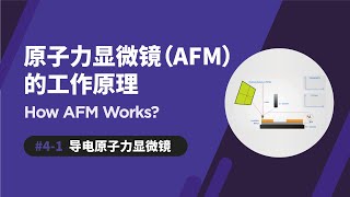 导电原子力显微镜  原子力显微镜如何运作  Conductive AFM  How AFM Works [upl. by Leruj963]