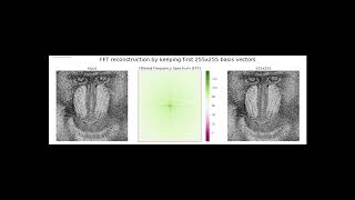 Fast Fourier Transform  divide amp conquer  Algorithm  1D amp 2D  python [upl. by Yuk829]