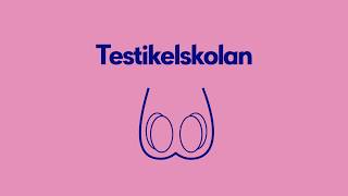 Testikelskolan [upl. by Bonnie]