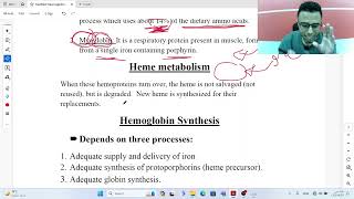 Hemoglobin synthesis and metabolism  Biochemistry of Hematology [upl. by Denyse]