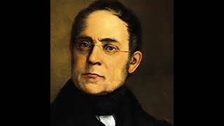 Carl Czerny Piano Concerto No 1 in D minor [upl. by Ellierim957]