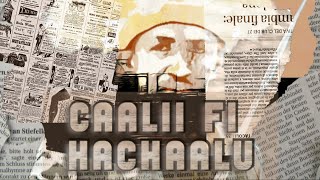 🏮Caalii fi Hacaalu  walaloo Dr Zelalem Abera [upl. by Schaefer505]