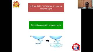 Acquired hemolytic anemia Dr Agalya [upl. by Nyad463]