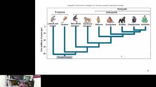 Primate Evolution [upl. by Okimik443]