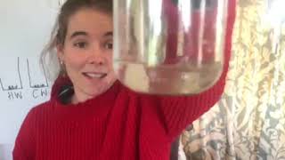 Solubility KS3  Home experiment part 3 [upl. by Kori]