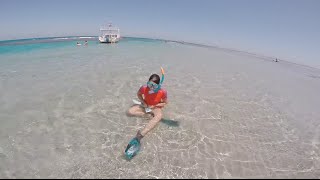 Hurghada Egypt  Jaz Aquamarine Snorkeling [upl. by Aicelef]