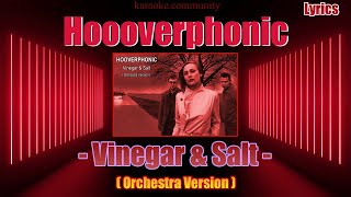 Lyrics  Hooverphonic  Vinegar amp Salt Orchestra Version [upl. by Janeva]