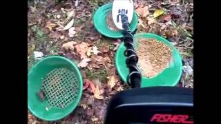 Fisher Gold Bug Pro Metal Detecting Gold Prospecting [upl. by Nosittam]