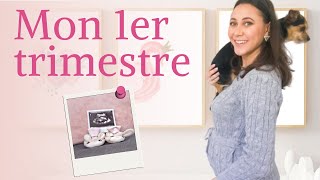 evolution du bébé pendant le premier trimestre de grossesse [upl. by Arrim364]