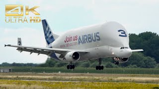 4K Beluga Airbus A300B4608ST Super Transporter FGSTC arrival at XFW Airbus Hamburg [upl. by Ecertak]