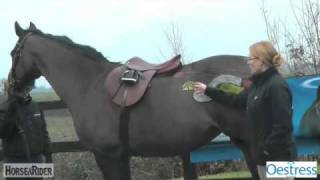 The Mares Oestrus Cycle Part 3  HorseandRider UK [upl. by Aivun]