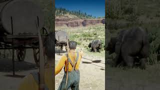 Great Survival Skills vid174 [upl. by Shawnee]