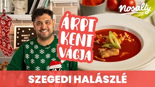 Árpi kenivágja  Szegedi halászlé filézett halakból recept  Nosalty [upl. by Charity894]