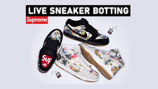 🔴 LIVE COP  Botting the Supreme Nike SB Dunk High Low Rammellzee [upl. by Belding]