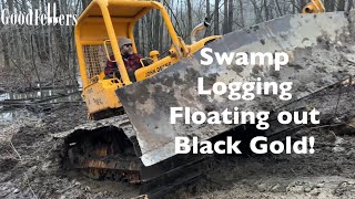 Mastering Swamp Logging Harvesting Walnut Trees Like a Pro [upl. by Gamin]