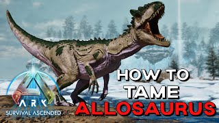 ARK Survival Ascended  How To Tame ALLOSAURUS Trap for EASY Taming [upl. by Quenby856]