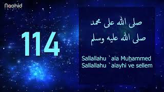 1000 Salavat  SALLALLAHU ALA MUHAMMED SALLALLAHU ALAYHI VE SELLEM [upl. by Teriann676]