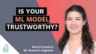 Is Your ML Model Trustworthy [upl. by Ellehsim301]