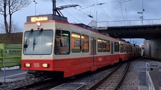 Bahnverkehr in Forch  Forchbahn  Zürich [upl. by Levison]