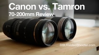 Canon VS Tamron 70200mm Lens Comparison and Review [upl. by Ecnerol]