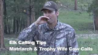 Steve Chappell Matriarch amp Trophy Wife Elk Calls [upl. by Kciderf]