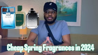 Affordable Spring fragrances in 2024 [upl. by Ciprian344]