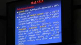 DrSahar  Parasitic Infections 3  Leishmaniasis [upl. by Nnaeiluj557]