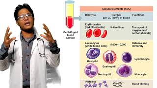 Function of Blood Bangla  রক্তের কাজ ও গঠন Medical Science  Anatomy and Physiology [upl. by Peppel357]