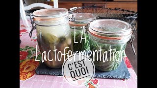 La LACTOFERMENTATION  Méthode et conserves de Haricots verts [upl. by Yeruoc830]