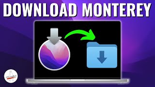 How to Download macOS Monterey  4 Different Ways [upl. by Nerad151]