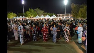 Aki Matsuri Japanese Festival in Nevada 2017 [upl. by Dempsey]