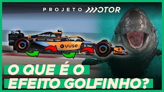 PORPOISING entenda o quotefeito golfinhoquot que causa dor de cabeça na F1 [upl. by Adniram45]