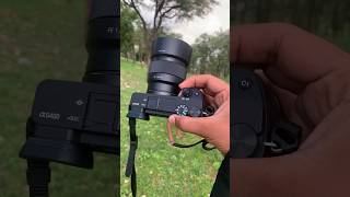 Sony A6400 50mm lens photography test photography sonyportrait sony trend viral shrots [upl. by Nwahs]