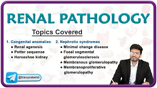 🌟 Exploring Renal Pathology Congenital Anomalies amp Nephrotic Syndromes 🌊 [upl. by Ydner]