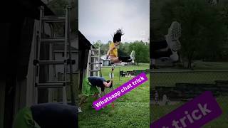 New Whatsapp trick  girlfriend whatsapp trick whatsapptricks [upl. by Agathe518]