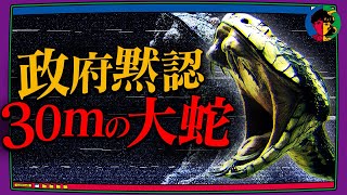 【超危険】ヤバすぎて政府も黙認…尖閣諸島に潜む30mの大蛇 [upl. by Renrew827]