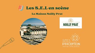 Visite de la Maison NOILLY PRAT Marseillan  Sites dexception en Languedoc [upl. by Aicertal188]