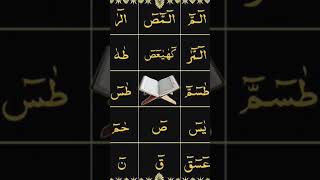 lohe quraniwazify quran shortvideo [upl. by Osric139]