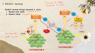 Metabolisme Bagian 3  Anabolisme  Materi Biologi Kelas 12 [upl. by Keir629]