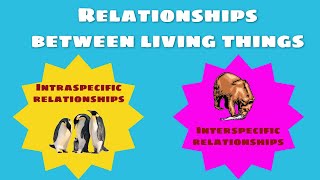 Relationships between living things intraspecific and interspecific relationships [upl. by Pallas296]