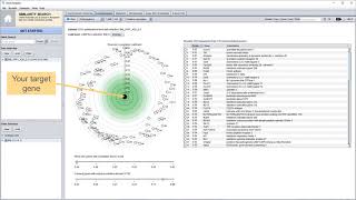 GENEVESTIGATOR®  CoExpression analysis [upl. by Worrell]