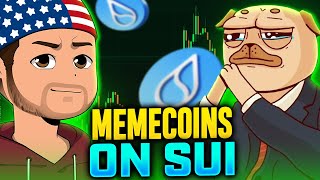 Sui Memecoin Trading in 2024 Tips for Safe Investing [upl. by Siloam]