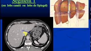 Segmentation et Vascularisation hépatique partie 1 [upl. by Natehc]