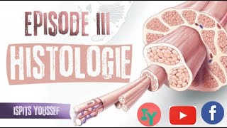 Episode 3 HistologieLe tissu musculaire  Le tissu nerveux [upl. by Marvella]