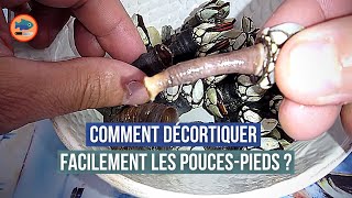 Comment décortiquer les poucespieds facilement [upl. by Mortie]